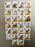 Animal Alphabet