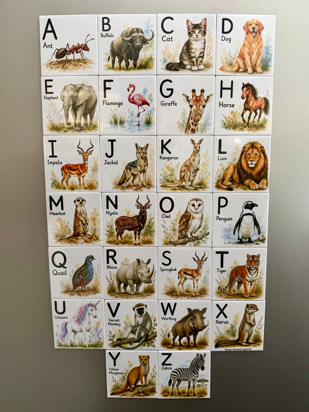 Animal Alphabet